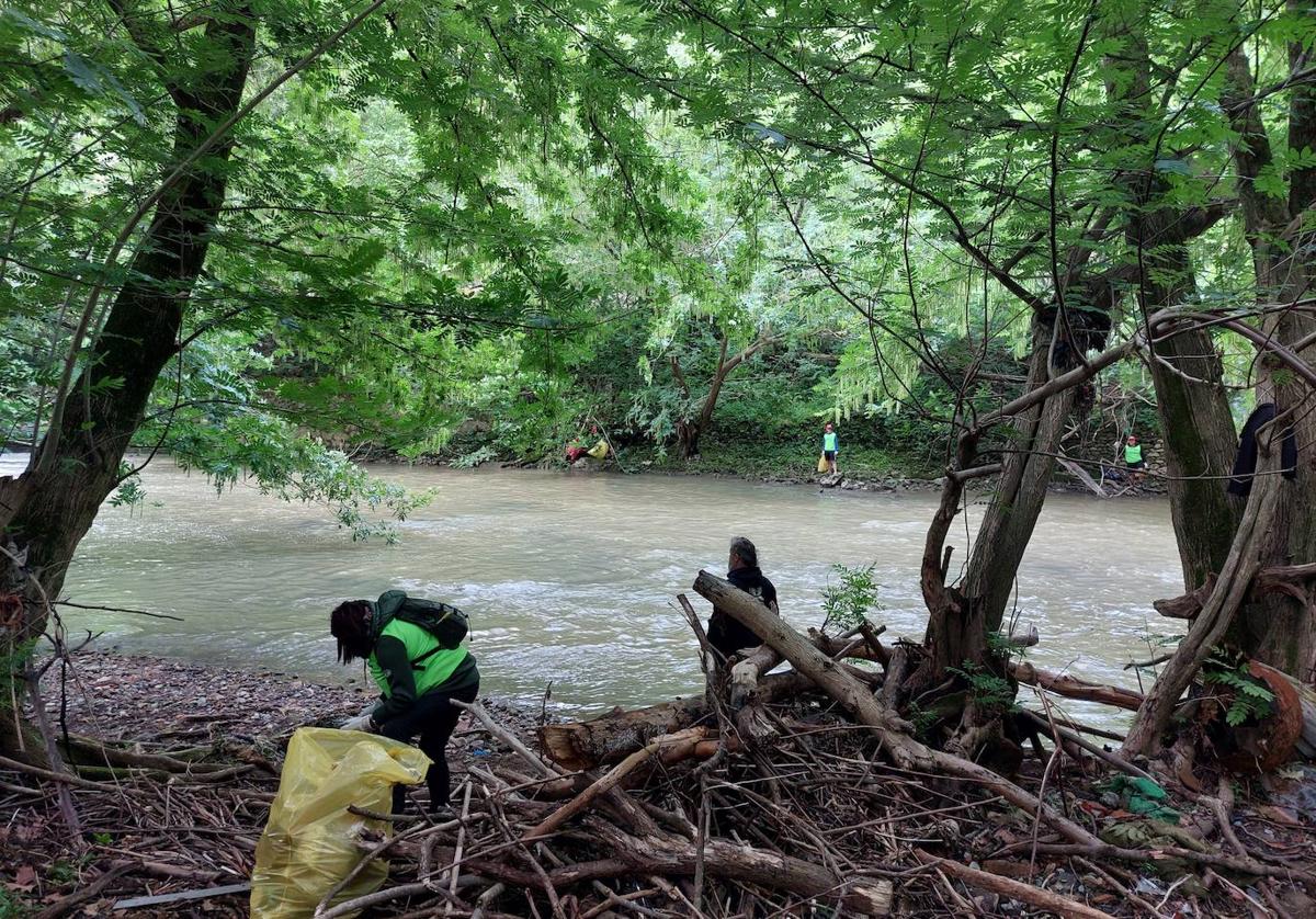 Voluntarios limpiando basura de las márgenes del Ibaizabal a su paso por Galdakao.