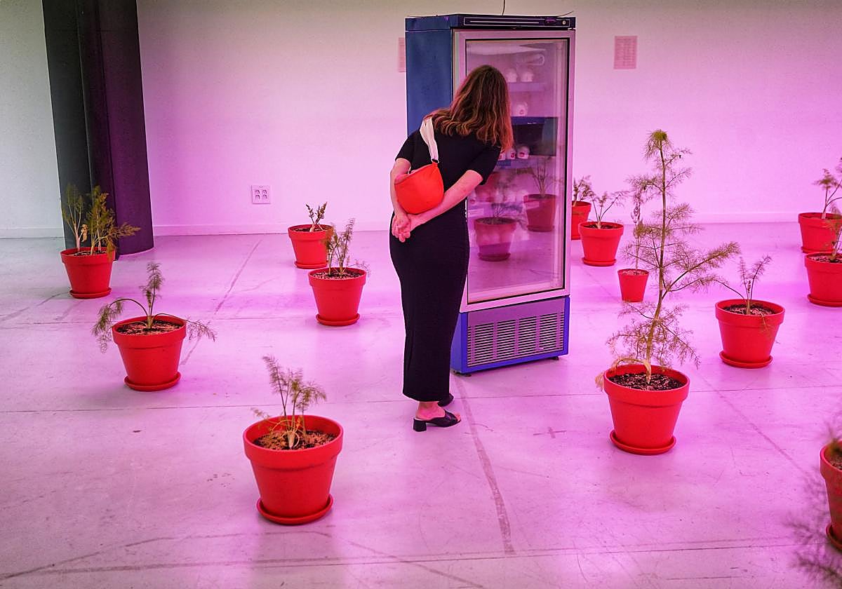 Instalación de hinojos de Fermín Jiménez Landa con los helados en la nevera.