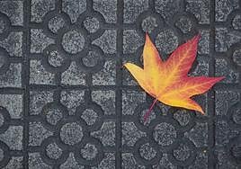 La baldosa de Bilbao sobrevive a la modernidad