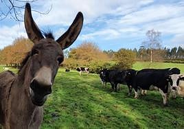 El seleccionado dormirá en una camper y podrá llevar a un acompañante.