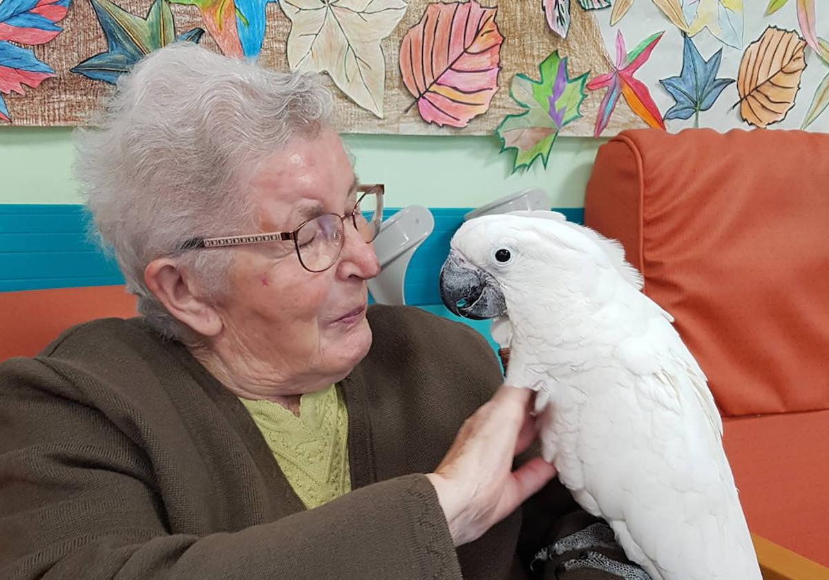 Las aves ayudan a los mayores de la residencia de Lekeitio a sentirse mejor al pasar a ser cuidadores.