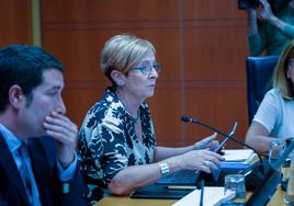 La consejera de Desarrollo Económico, Sostenibilidad y Medio Ambiente, Arantxa Tapia, durante la comparecencia en el Parlamento Vasco.