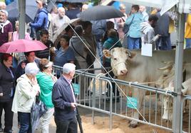 Fiesta de San Antonio en Urkiola