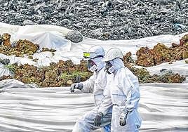 Un estudio encargado por el Gobierno vasco revela que la seguridad en el vertedero de Zaldibar «ha empeorado»