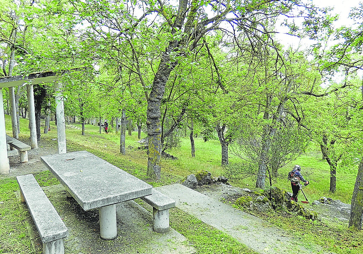 En primer término, las mesas donde se ofrecerán almuerzos el día de la Batalla del Vino. Al fondo, operarios desbrozando.