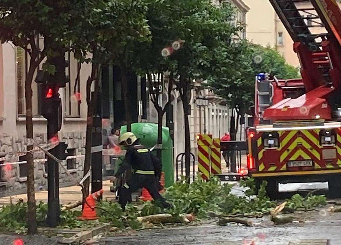Los bomberos retiran varias ramas frente al parque de La Florida.