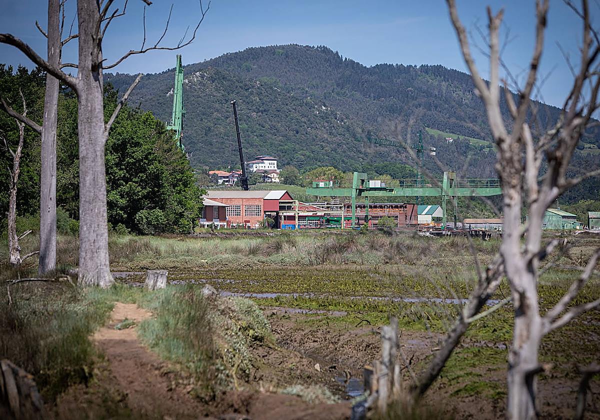 Vista de los terrenos de Murueta donde está previsto habilitar un sendero que una las dos sedes del Guggenheim de Urdaibai.