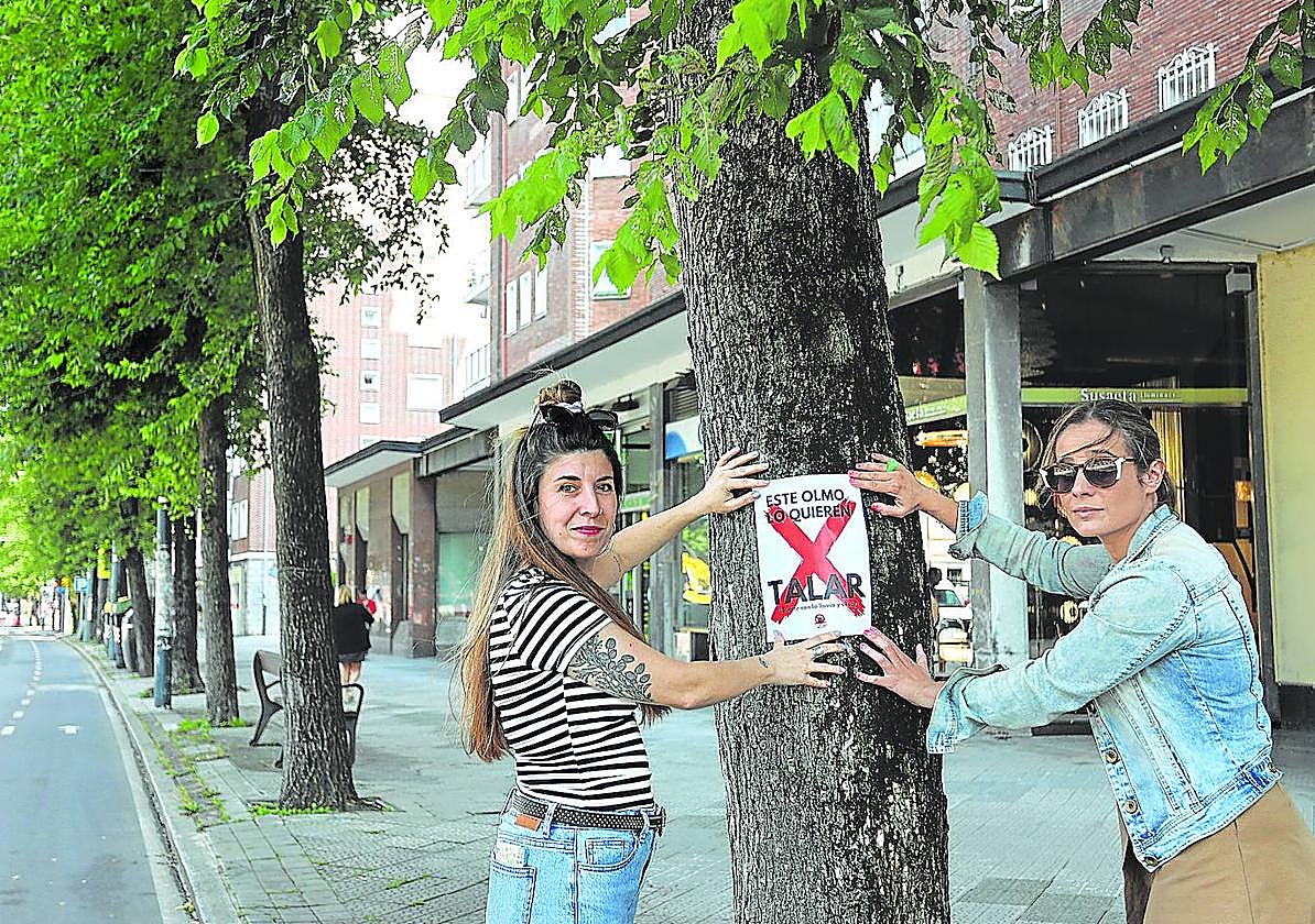 Vecinas de Deusto colocan carteles contra la tala de árboles en Lehendakari Aguirre.