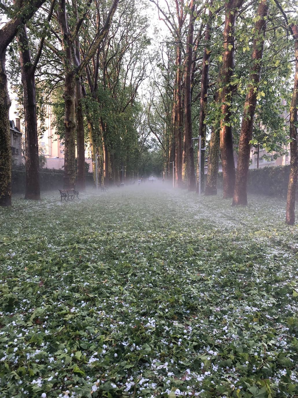 Las fotografías de la granizada de Vitoria