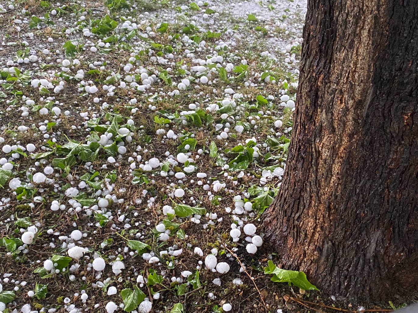 Las fotografías de la granizada de Vitoria