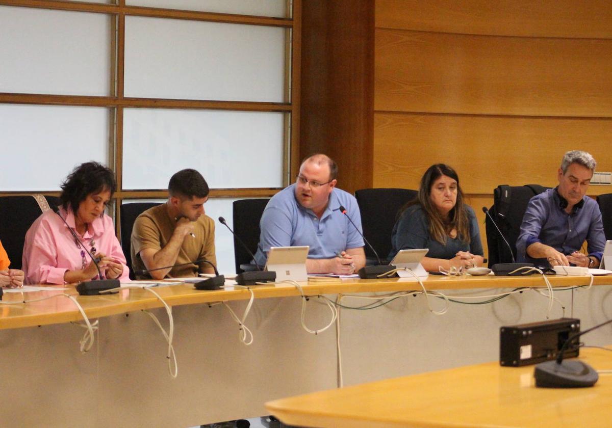 Ander Añibarro, en una de sus intervenciones en el pleno del miércoles.