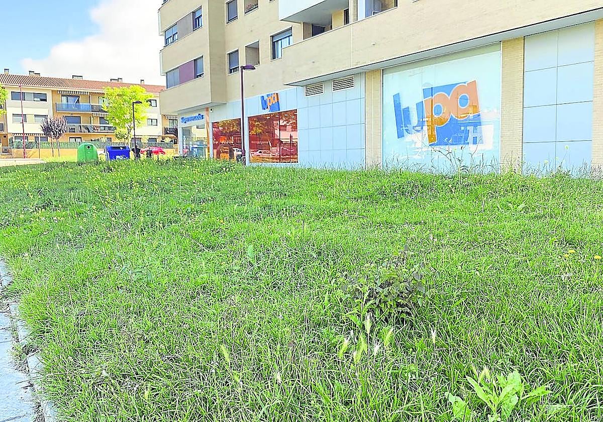 Situación en la que se encuentra un céntrico jardín, próximo a la calle Severo Ochoa.