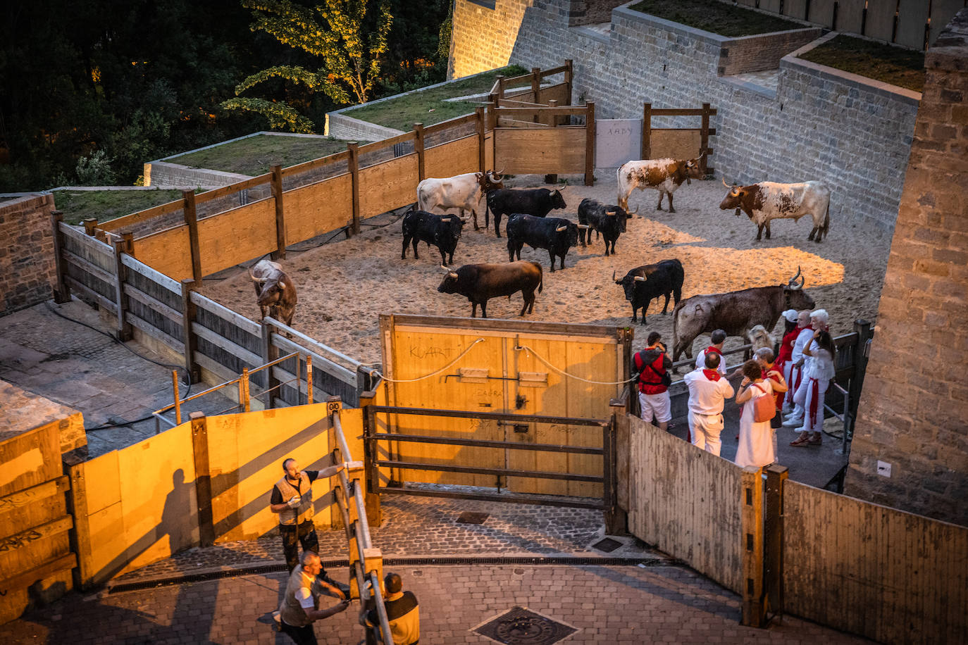 Las mejores imágenes de Sanfermines tras seis días de encierros