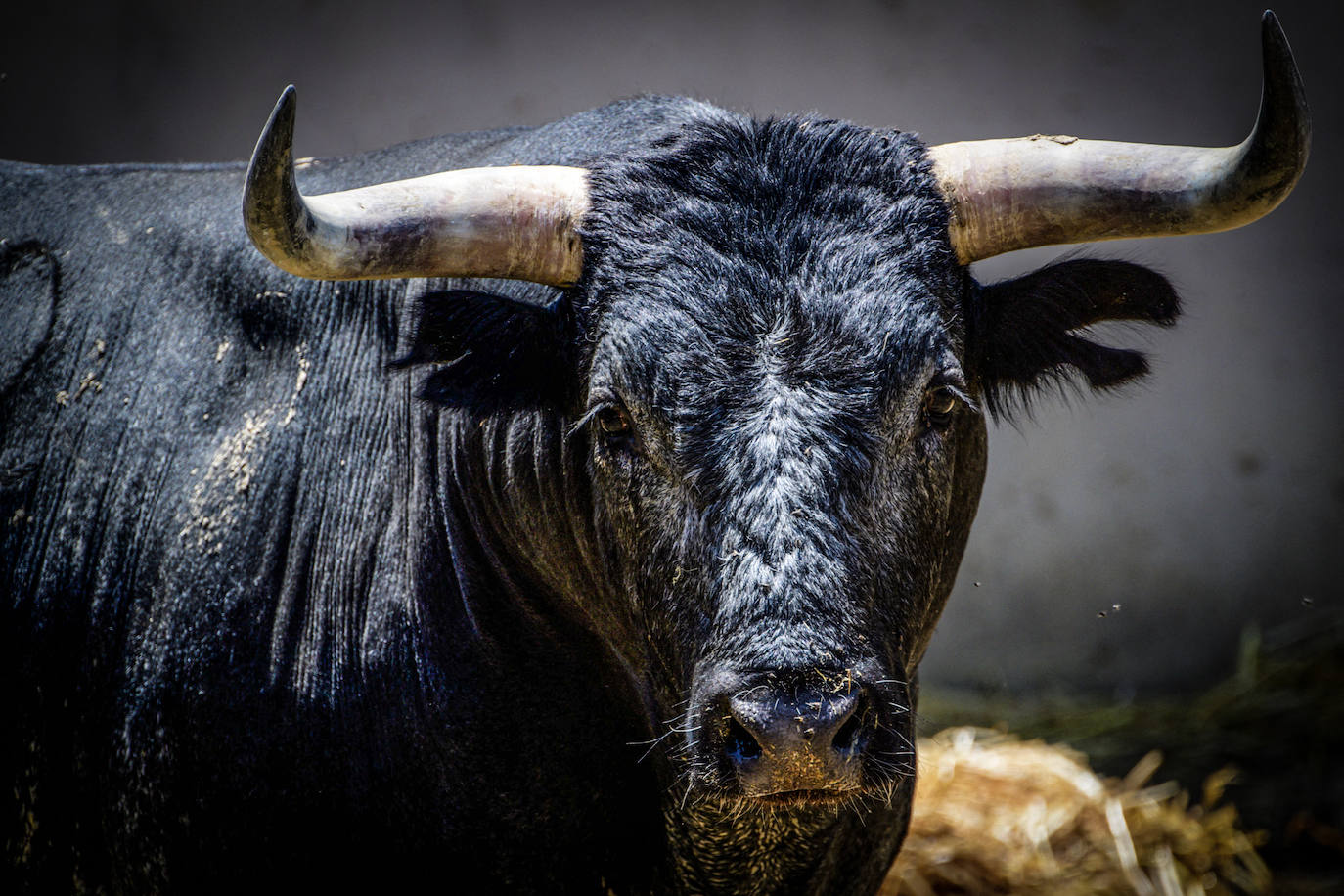 Las mejores imágenes de Sanfermines tras seis días de encierros
