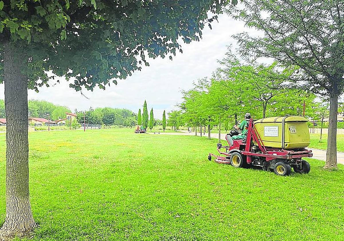Trabajadores de Viveros Perica, cortando el césped de los jardines.