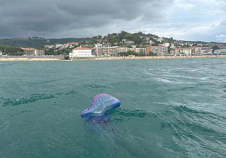 Imagen de la carabela desde el mar, con Gorliz y Plentzia al fondo.