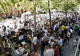 Una edición anterior de la feria agroganadera que se celebra en el campus universitario de Vitoria.