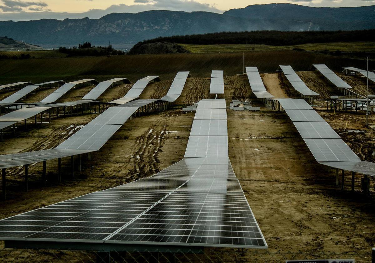 Hileras de placas solares.