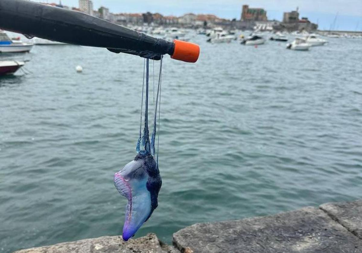 Una de las carabelas capturadas en Castro Urdiales.