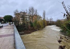 El Nervión, a su paso por Abiaga, genera malos olores por la mezcla de aguas pluviales y residuales.