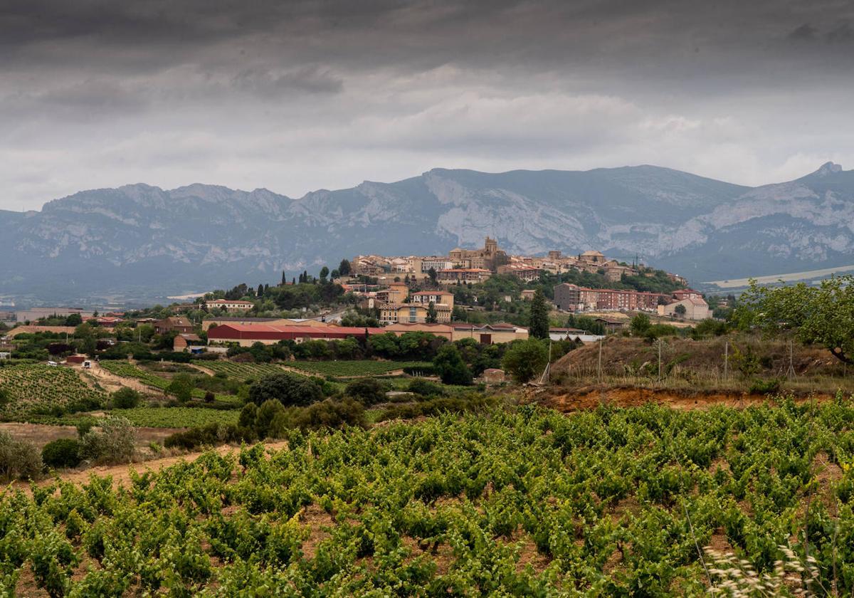 Vistas de Laguardia desde un viñedo de Rioja Alavesa.