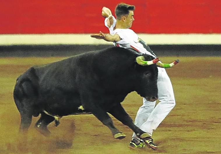 El regreso nostálgico de la sokamuturra