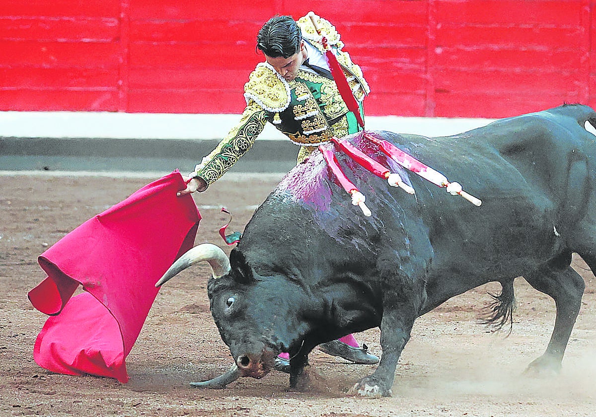 Mario Navas, muy centrado en sus dos faenas, recoge con la muleta a un novillo entregado y humillado en una derecha mandona.