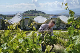 La bodega de Ysios, en Laguardia, es una de las tres que posee Pernord Ricard en el conjunto de Rioja, junto a AGE y Campo Viejo.