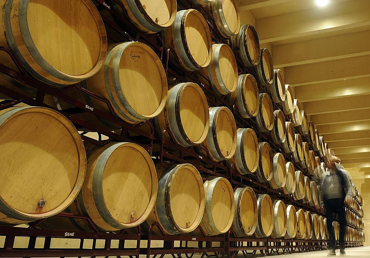 Decenas de barricas reposan en una bodega