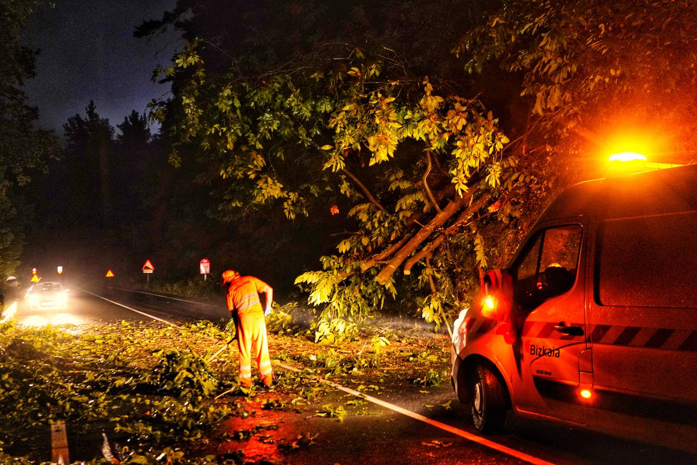 Un operario trabaja en la retirada del árbol.