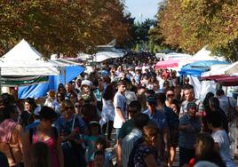 Olarizuko erromeria, duela urte batzuk.