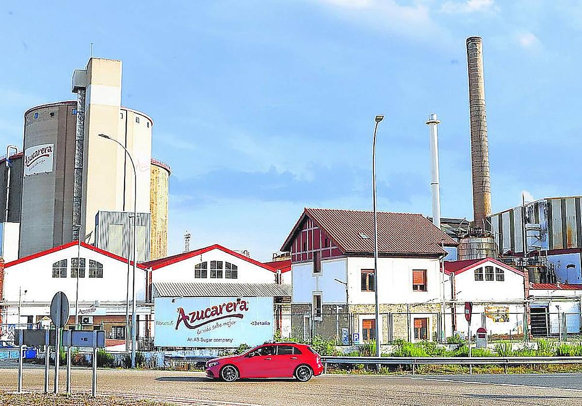 El periodo de molturación comenzará entre mediados y finales de octubre dependiendo de la meteorología.