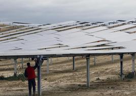 Placas de un parque fotovoltaico en Álava