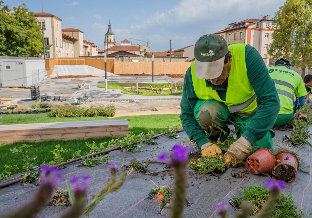 Los contratos de mantenimiento son algunos de los que figuran en el informe.