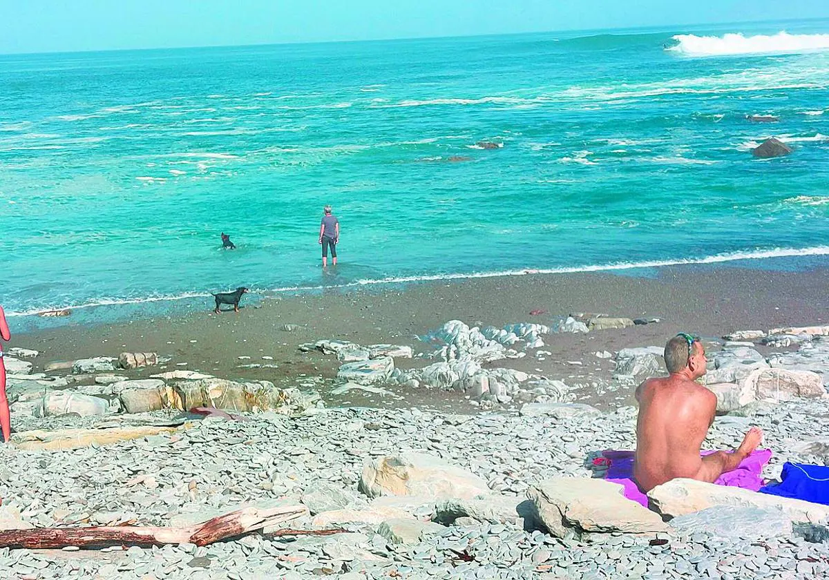 Nudistas de las playas en Bizkaia: «Cada vez estamos más arrinconados por  los textiles» | El Correo