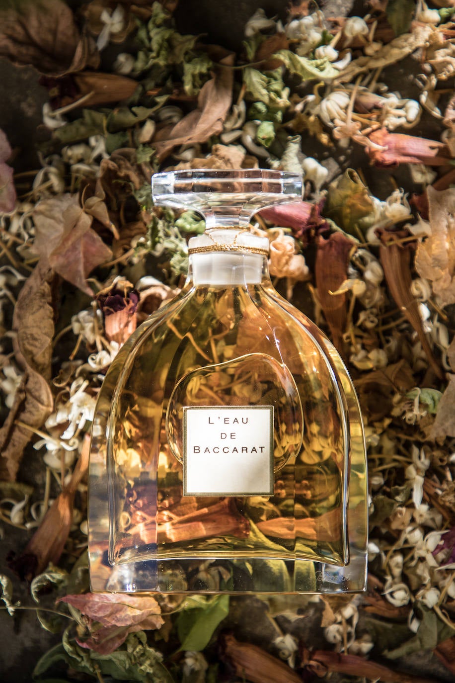 La fotógrafa de moda de Zurbaranbarri que &#039;caza&#039; a las influencers con más estilo en las pasarelas internacionales