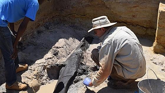 Descubren en África los restos de una construcción de madera de hace medio millón de años
