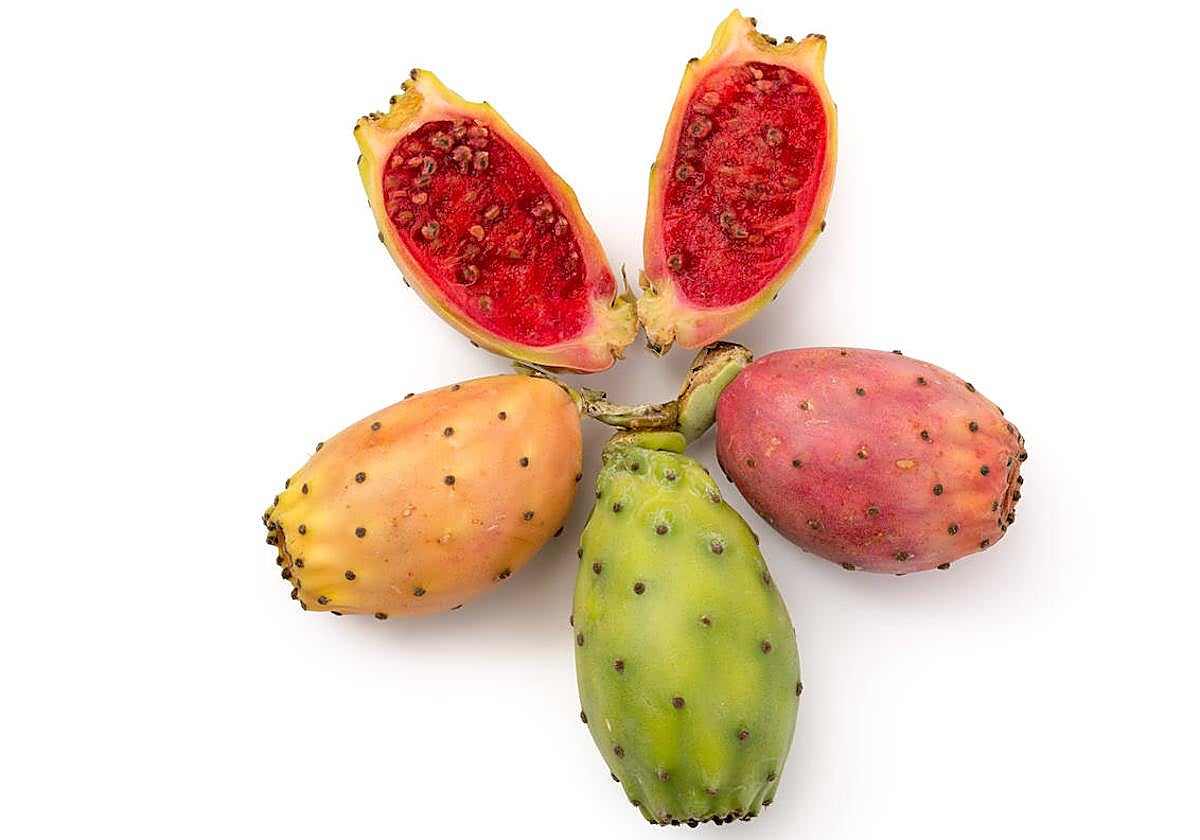 Higos chumbos, para sujetar la tripa