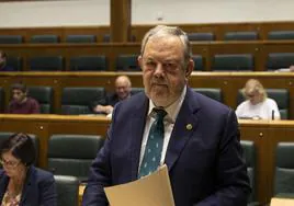 El consejero de Economía y Hacienda del Gobierno vasco, Pedro María Azpiazu, en su intervención en el pleno de control.