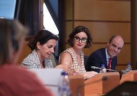 Etxanobe, durante su comparecencia en las Juntas