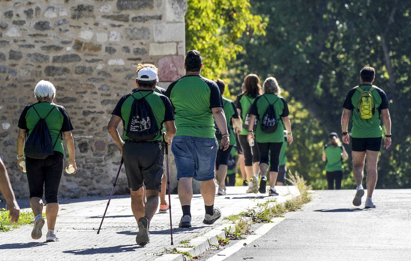 La marcha en Vitoria contra el cáncer, en imágenes