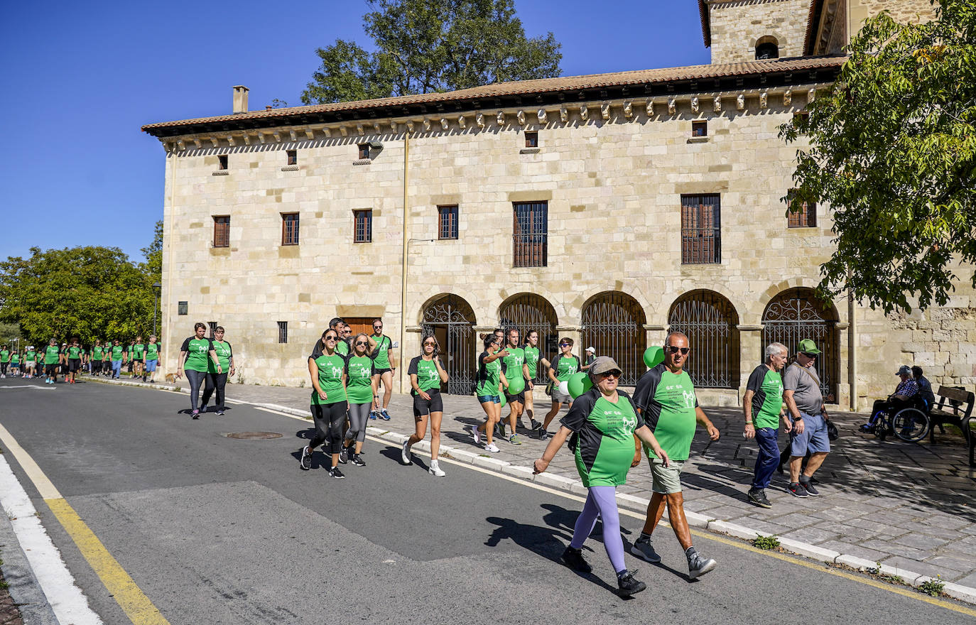 La marcha en Vitoria contra el cáncer, en imágenes