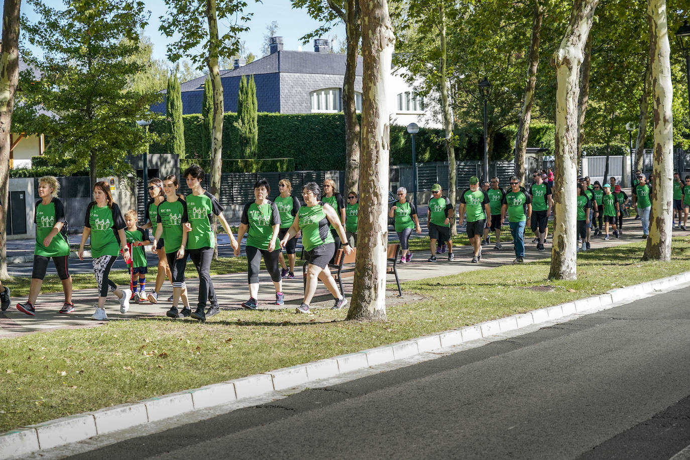 La marcha en Vitoria contra el cáncer, en imágenes