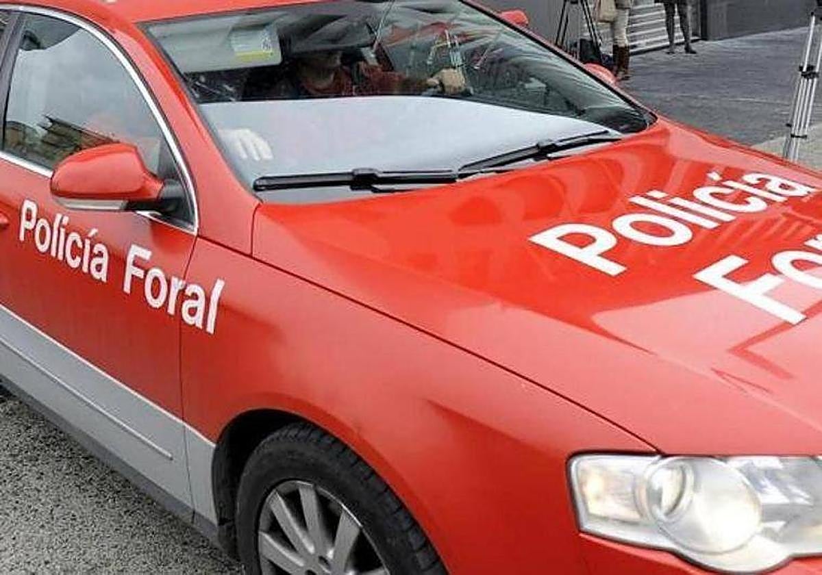 Heridas graves dos personas tras sufrir el ataque de un jabalí en Navarra