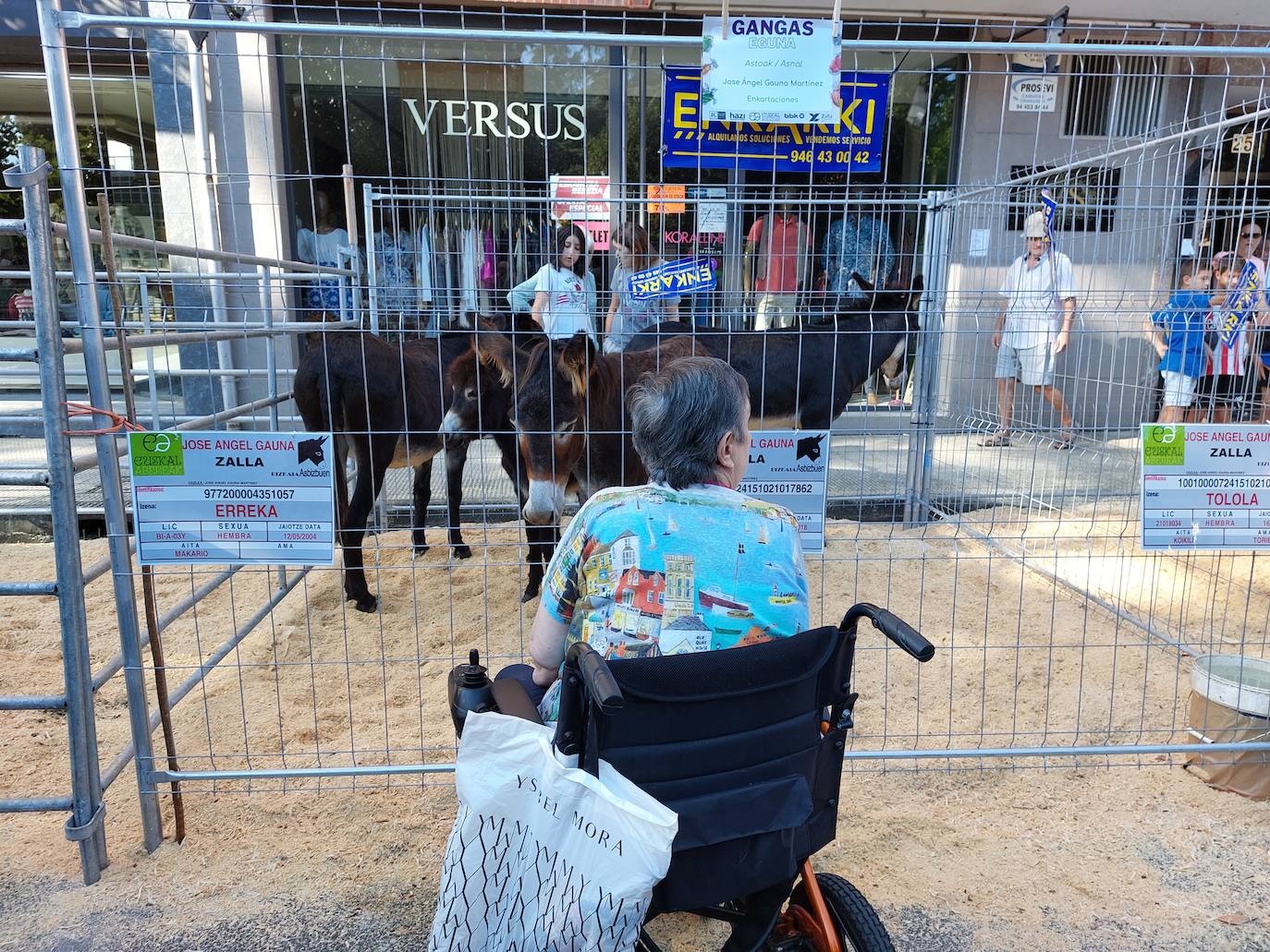 Varios burros de uno de los ganaderos locales