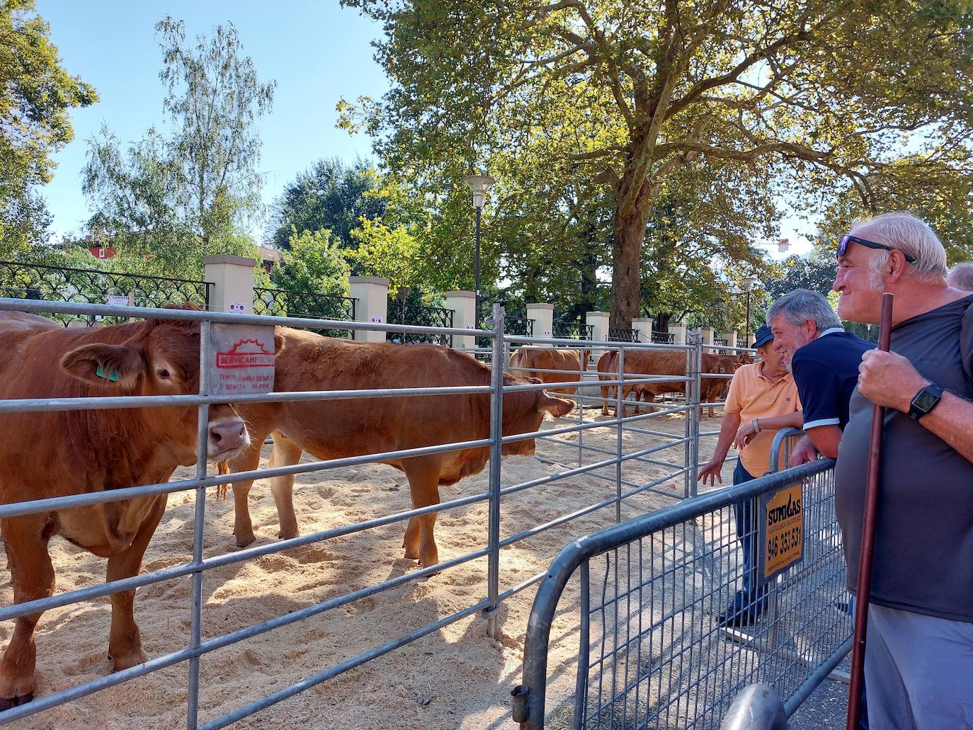 Este año se han mostrado cincuenta ejemplares más que en la pasada edición, alcanzando un total de 214
