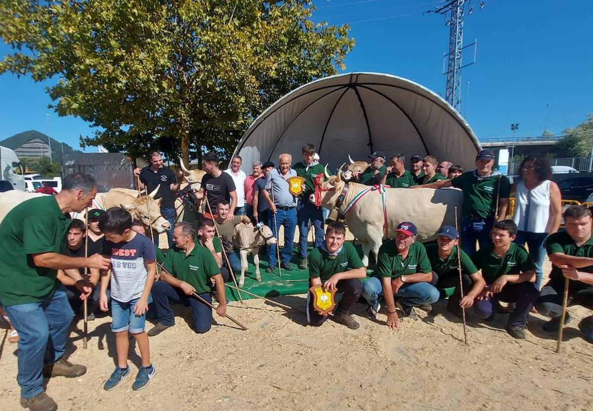 Los ganaderos participantes en la feria del Primer Lunes de Octubre de Gernika lucen sus animales en el recinto de Santa Ana.