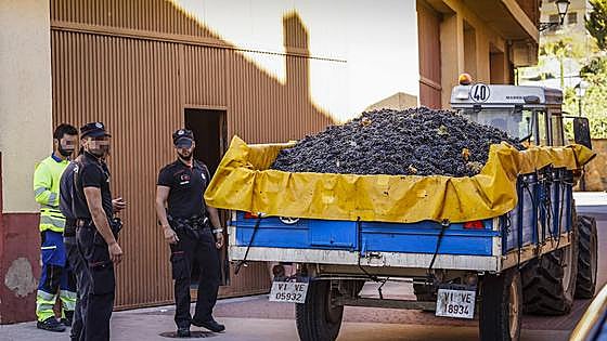 Las bodegas alavesas piden ayudas para evitar la tragedia del tufo