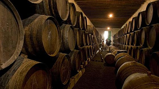 González pide a todas las bodegas de Rioja Alavesa que instalen dispositivos contra el tufo