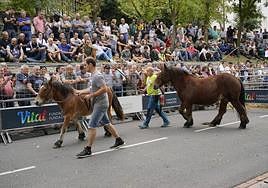 Miles de curiosos de la provincia y otros puntos del País Vasco se acercaron a la villa de la Llanada.